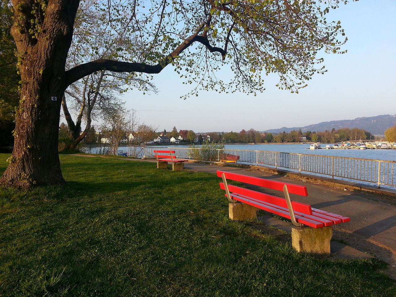 拜仁在夺冠 拜仁在夺冠
