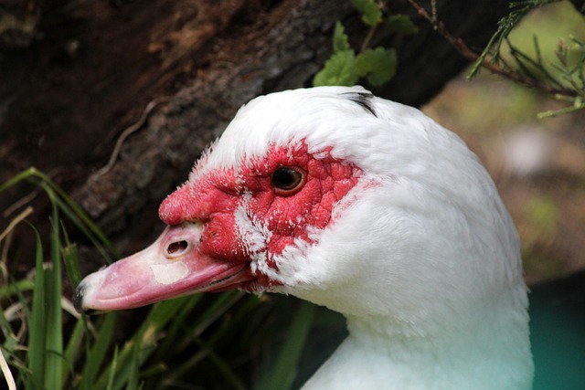 确进入了重 确进入了重