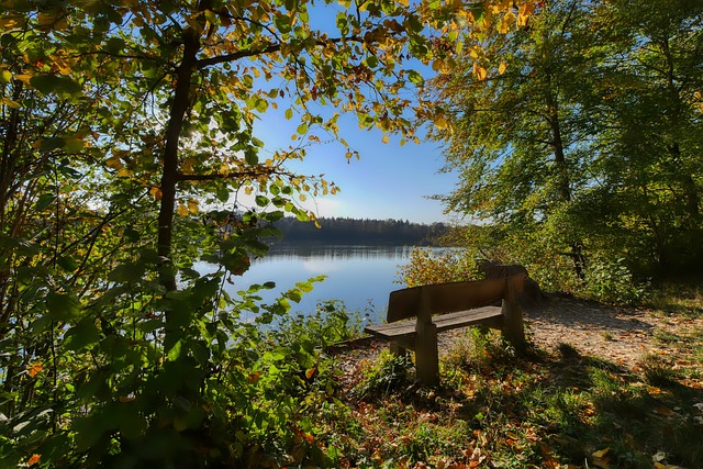 成的中卫组 成的中卫组