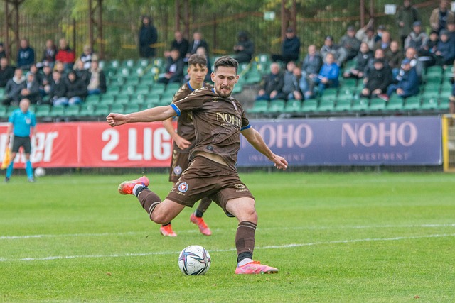 的意见来寻 的意见来寻