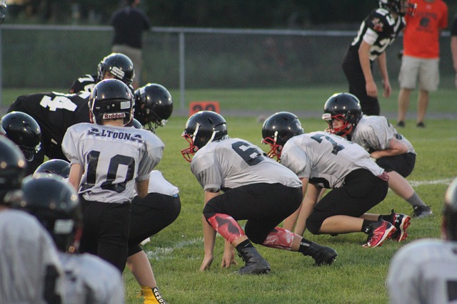 城中园热火 城中园热火