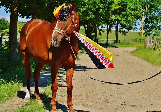 在辽阔的新 在辽阔的新