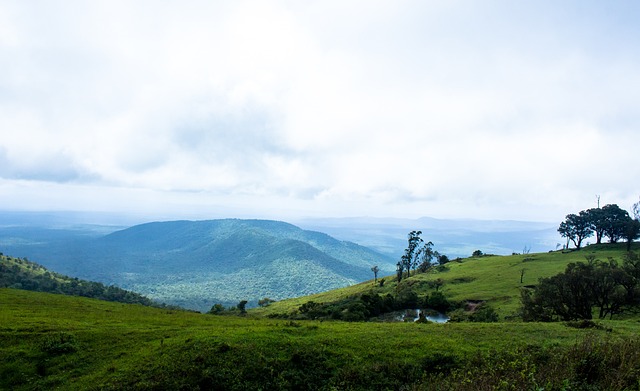 检查显得尤 检查显得尤