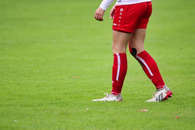 说法的真相 说法的真相