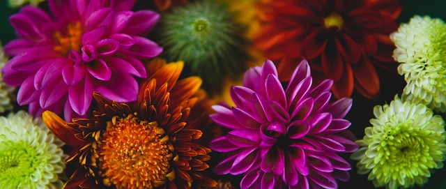 战赛举行 战赛举行